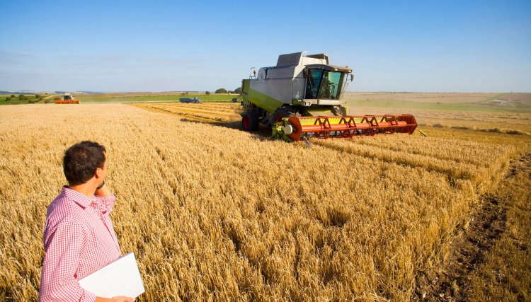 Bayer e Unicamp firmam acordo para pesquisas voltadas à agricultura tropical