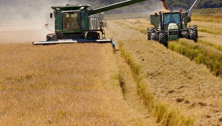 Bayer apresenta soluções tecnológicas na 29ª Abertura da Colheita do Arroz no RS
