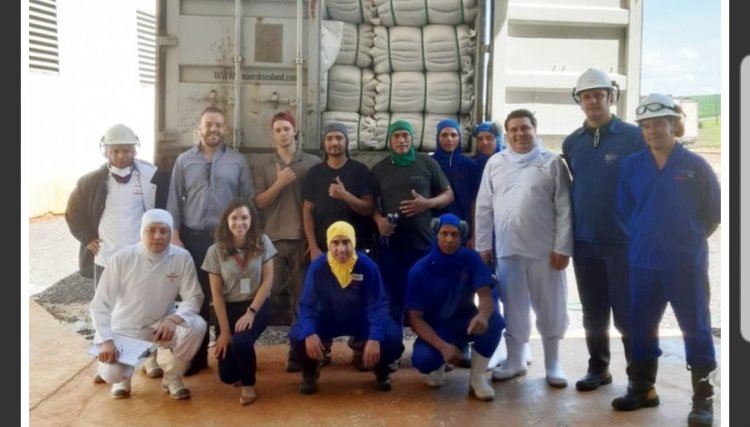 Copacol iniciou exportações de escamas de tilápia para a China