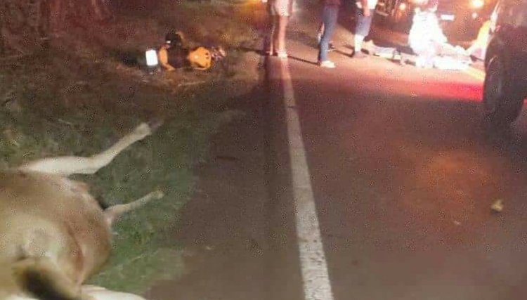 Acidente com motocicleta deixa morador de Cafelândia gravemente ferido 