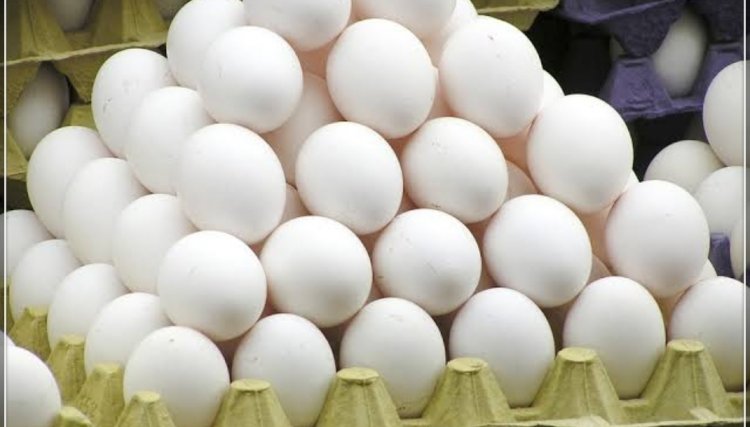 Cinco mil ovos de galinha são furtados de uma granja no PR 