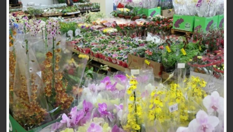 Copacol Supermercados lança promoções especiais as Mães