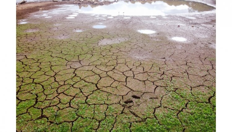 PR decreta situação de emergência hídrica por causa da estiagem 