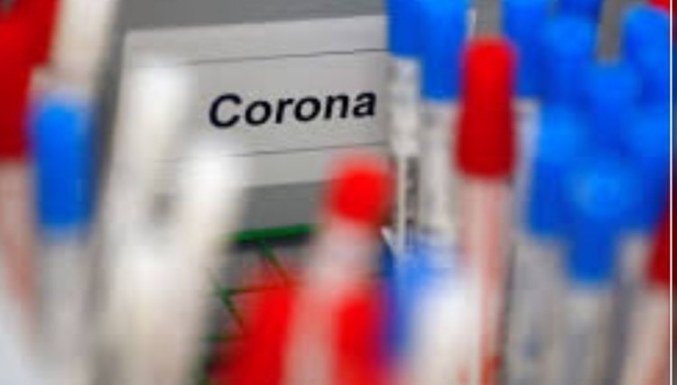 PR confirma 1.711 casos e 106 óbitos de Covid-19