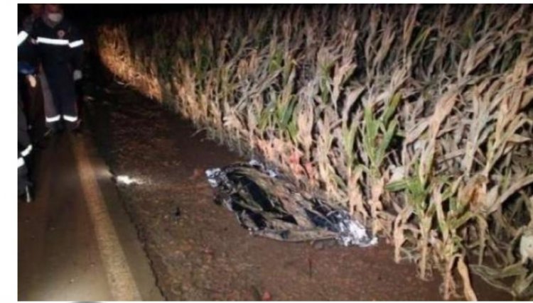 Motorista é preso em Toledo após matar homem que andava de cavalo 