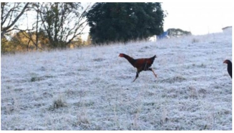  Frio incluindo previsão de geada na região Oeste 