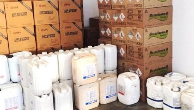 Cooperativa é assaltada e moradores são feitos de reféns 