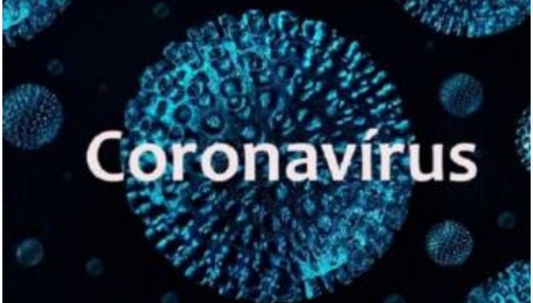 PR acumula 64.896 diagnósticos positivos e 1.632 mortes em decorrência da Covid-19
