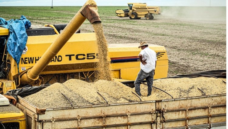 Brasil retoma posto de maior produtor de soja do planeta