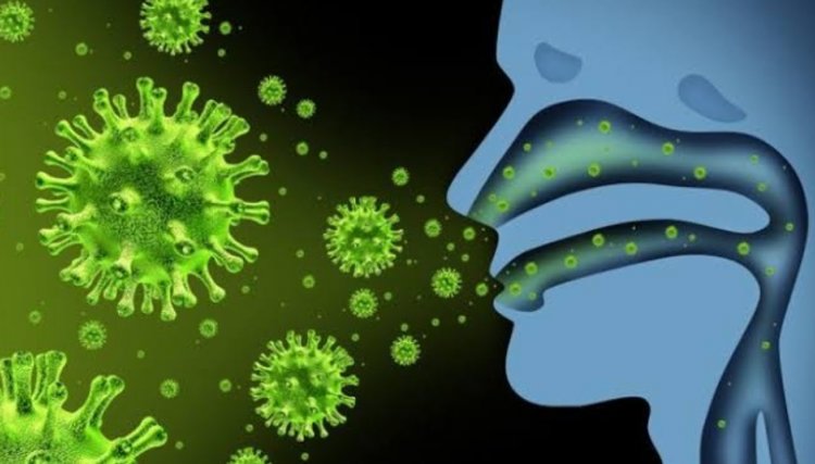 Caso raro de H1N2 é identificado no PR e tem potencial pandêmico