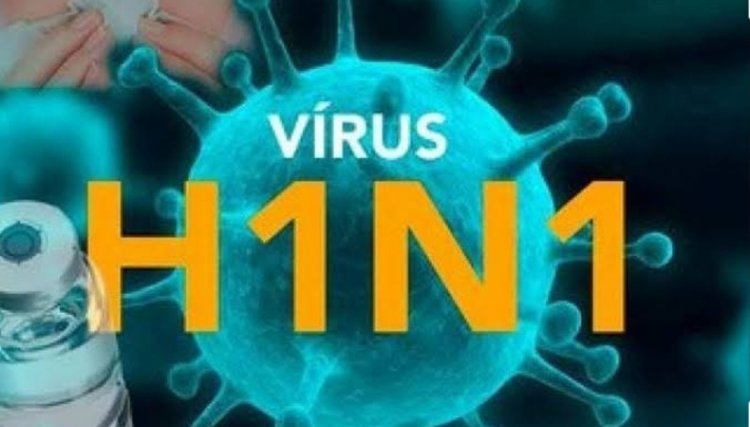 Adapar acompanha caso de H1N2 em uma mulher de 22 anos no Paraná 