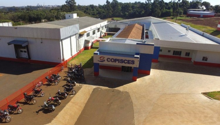 Copacol investe R$ 60 milhões e compra abatedouro de peixes na região para aumentar a produção de tilápias