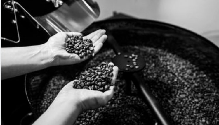 Exportação de café cai 3,6% na safra 2019-2020, mas bate recorde