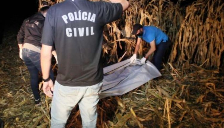 Agricultor encontra corpo em decomposição durante colheita no interior de Toledo