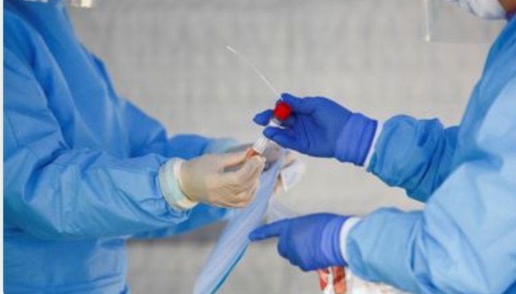Desde o início da pandemia, 1.667.667  de pessoas já foram curadas da Covid-19