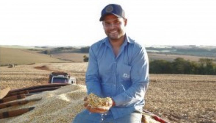 Produtores de Goioerê entram na reta final da colheita do milho