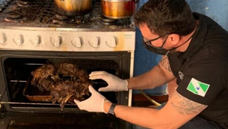 Homem mata, assa e come cachorro em Curitiba