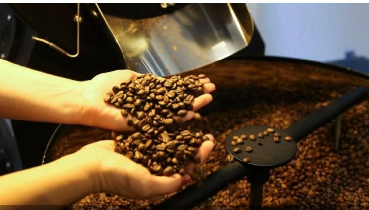 Café teve 2º maior volume exportado da história em julho