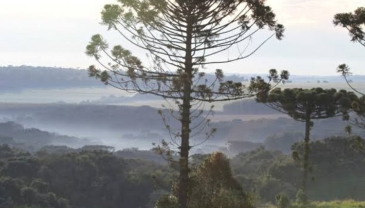 Período de chuva está chegando ao fim e as temperaturas podem chegar a 0°C no PR