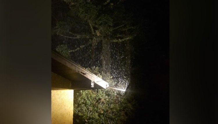 Chuva congelada e neve são registradas em São Francisco de Paula