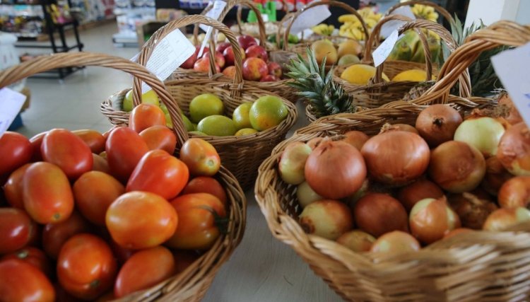 Paraná promove ações contra o desperdício de alimentos