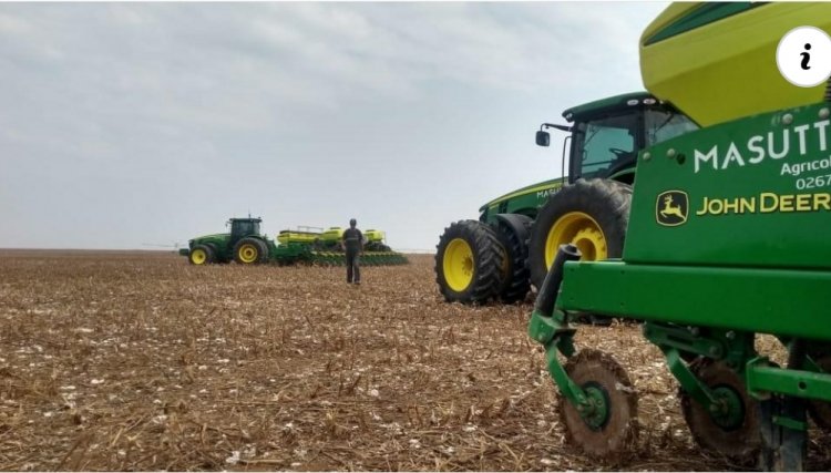 Plantio da soja chega a 16,3% no país. Confira a situação do Paraná 