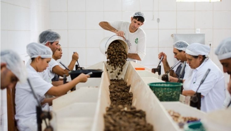 Ministério da Agricultura lança edital para selecionar cooperativas agropecuárias para o projeto eixo Intercooperação