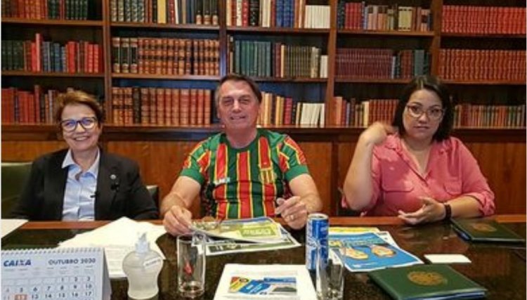 Ministra da Agricultura diz que nova safra pode reduzir preço do arroz