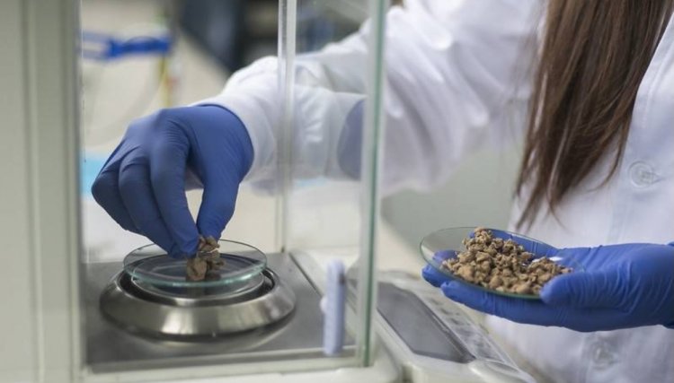 5 tendências de inovação no mercado de papel e celulose