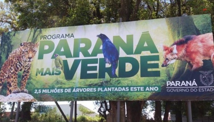 Estado estimula o plantio de 10 milhões de mudas de árvores nativas