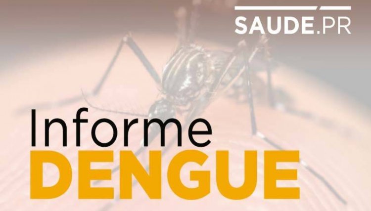 Paraná tem 106 casos de dengue e o primeiro caso de Zíka Vírus