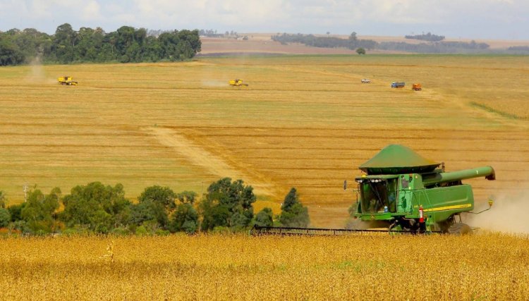 Paraná deve produzir 24 milhões de toneladas na safra de verão
