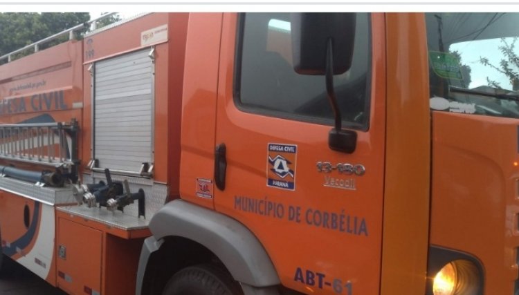 Após temporal com queda de árvores, Equipes da Prefeitura e Defesa Civil fazem fazem limpeza e desobstrução