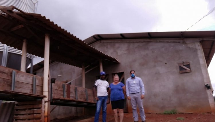 Flávia Maria Ruchinek é a melhor suinocultura do mês na  Copacol 