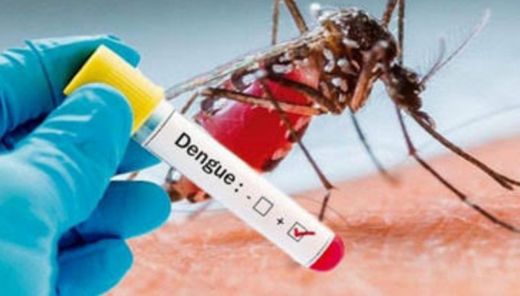 Óbito por dengue é confirmado no PR 