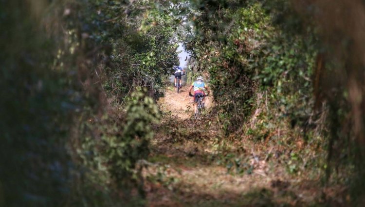 Programa Pedala Paraná inicia neste no domingo em Guaratuba