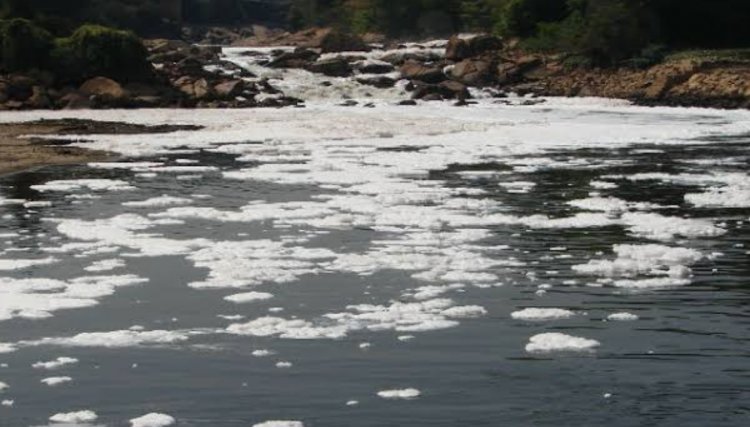 Empresa é autuada por crime ambiental de poluição 