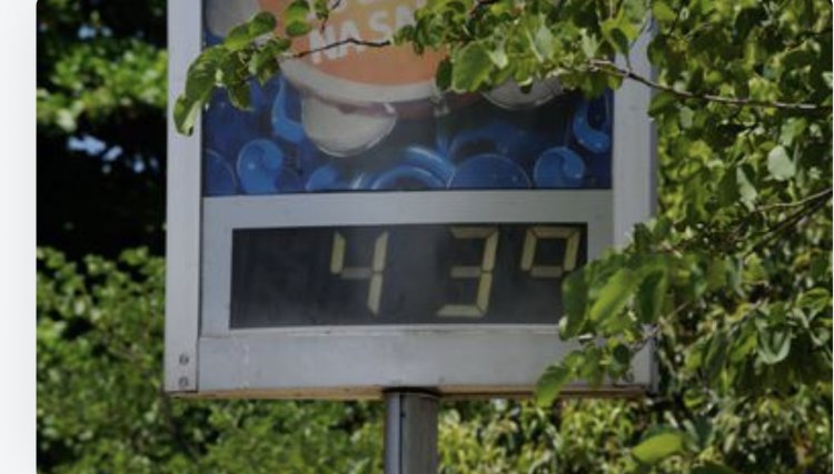 Regiões tropicais podem ficar inabitáveis com aquecimento