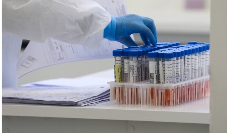 Primeiros casos de Covid-19 eram confirmados no Paraná há um ano