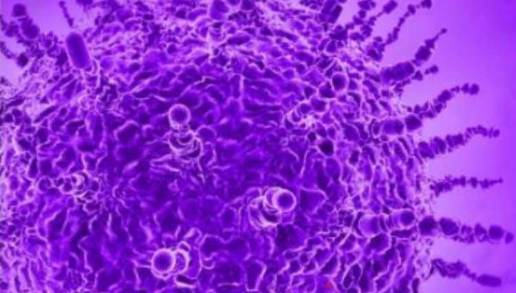 Paraná confirma primeira reinfecção pelo coronavírus