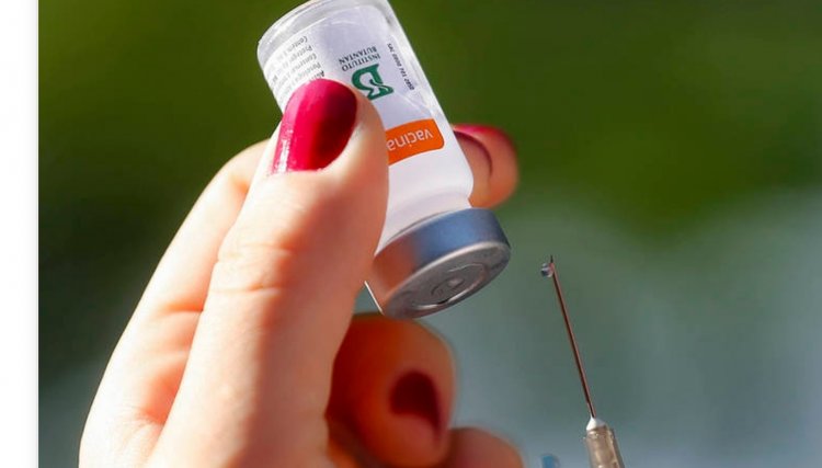 PR vai receber mais 242.050 doses de vacinas contra a Covid-19