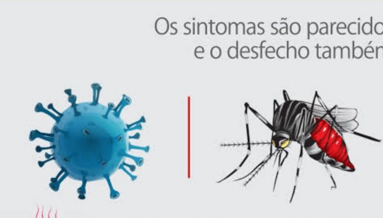 Moradora de Cafelândia testou positivo para dengue e Covid-19