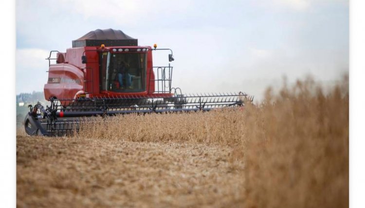 Paraná deve produzir 40,6 milhões de toneladas de grãos na safra 2020/2021