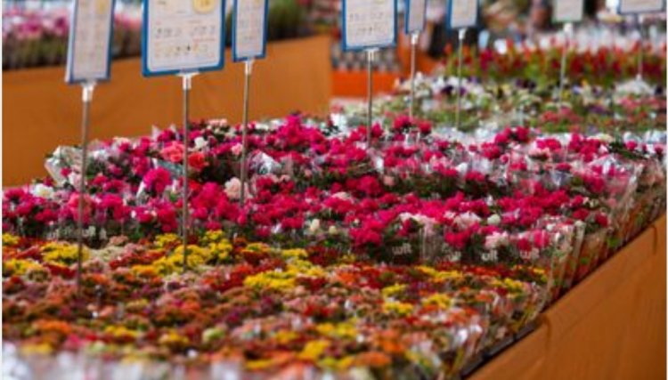 Dia das mães é a data mais importante para o setor de flores 