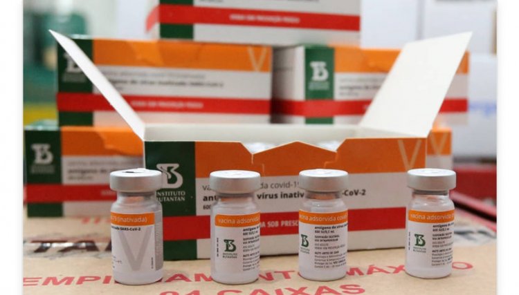 Paraná distribui novo lote de vacinas contra o coronavírus; veja divisão por regional