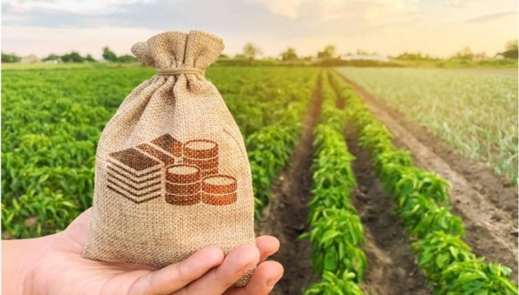 Desembolso do crédito rural atinge R$ 201 bilhões em dez meses