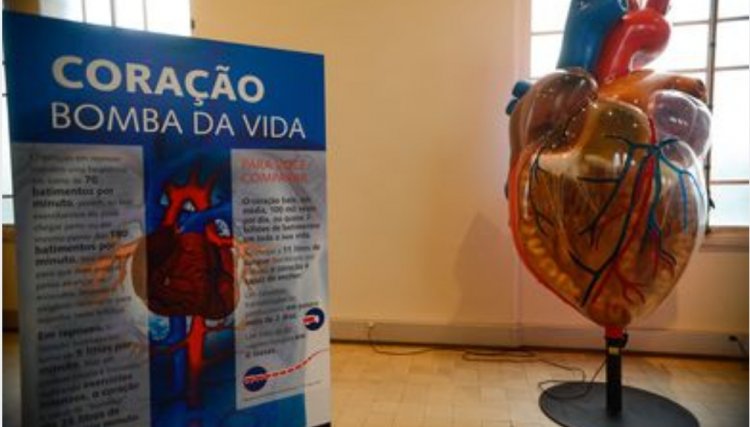 Doença cardiovascular é principal causa de morte de mulheres no mundo