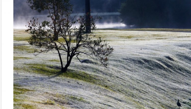 Paraná se prepara para semana de frio e neve não está descartada