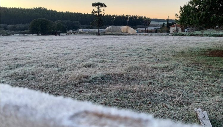 Alerta para -3ºC e -4ºC no início da próxima semana em Cascavel