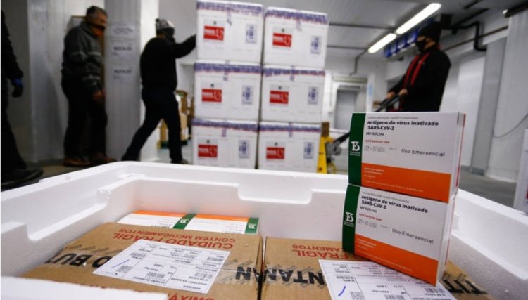 Saúde recebe mais doses e começa a distribuir 377,5 mil vacinas nesta quarta; veja divisão